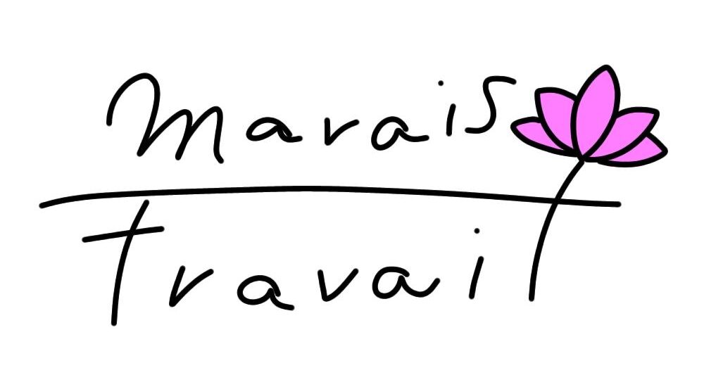 You are currently viewing marais travailとは